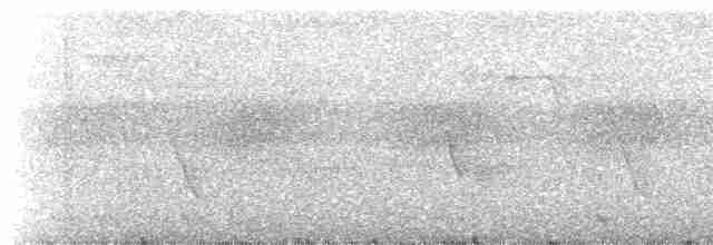 Long-tailed Broadbill - ML616460869