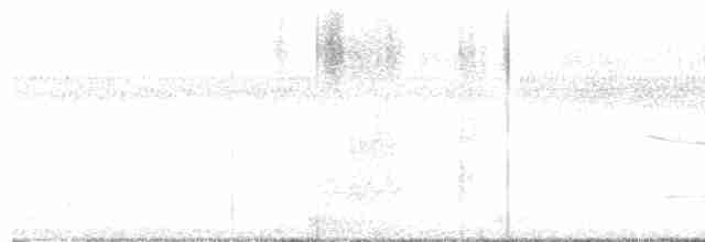 Дрізд-короткодзьоб плямистоволий - ML616461176