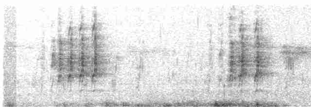 Сероголовый калита - ML616461500