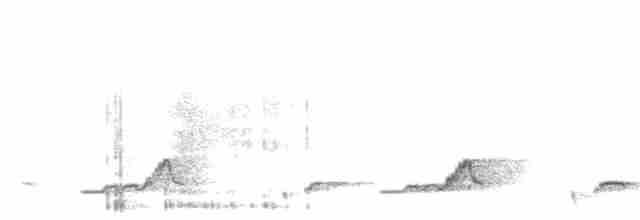 Schwarzkehl-Nachtschwalbe - ML616461523