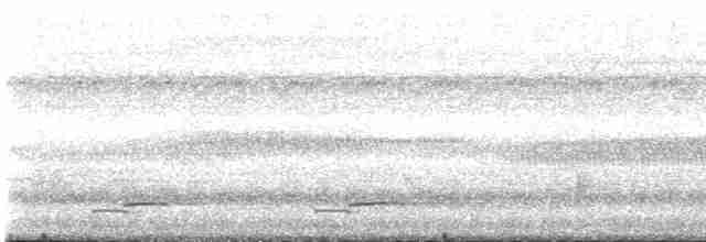 灰腳秧雞 - ML616461763