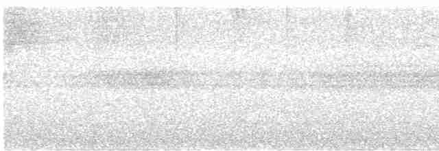 Grauscheitel-Ameisenvogel - ML616463628