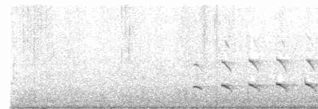 Fischadler (carolinensis) - ML616464309