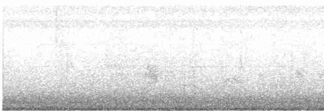 holoubek vlnkovaný - ML616464316