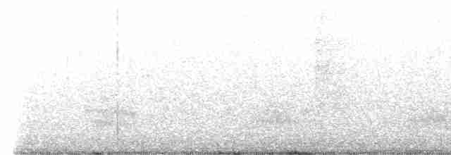 Глазчатая кряква (fulvigula) - ML616464407