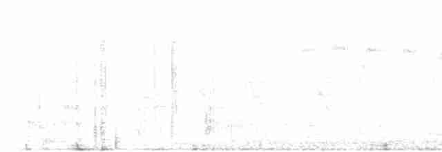 Атласная нектарница - ML616464720