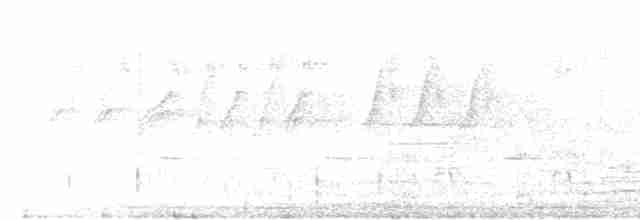 Атласная нектарница - ML616464738