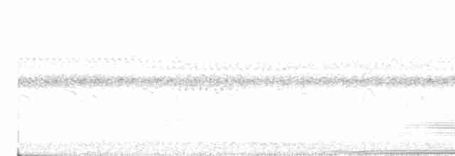 Тиранчик-тонкодзьоб південний - ML616465432
