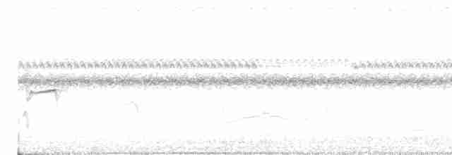 Тиранчик-тонкодзьоб південний - ML616465435