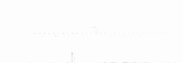 Benekli Göğüslü Çıtkuşu - ML616465916