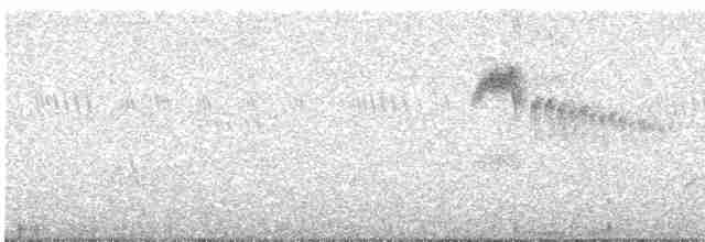 Серпокрилець еритрейський - ML616466110