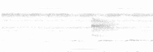 Кадук плямистохвостий - ML616466991
