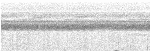 Прямоклювый колибри-отшельник - ML616467679