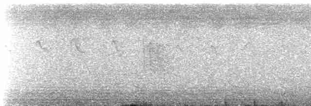 Weißbrauenschnäpper - ML616470088