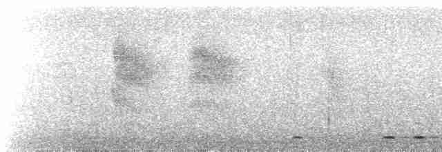 Ошейниковый сычик - ML616470140