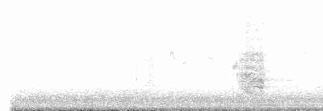 Amazone à couronne lilas - ML616470218