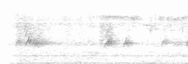 vlaštovka skalní - ML616470951