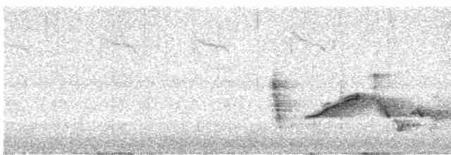 White-eyed Vireo - ML616471096