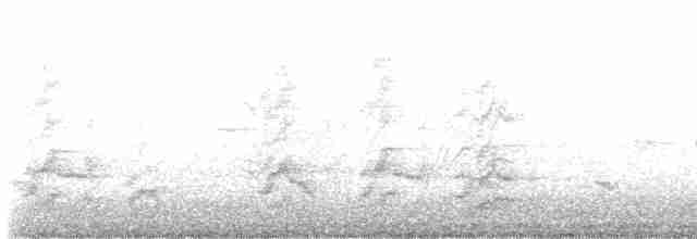 דררה אלכסנדרית (פליטת שבי) - ML616471164