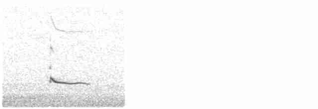Common Redshank - ML616471209