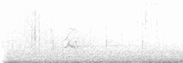 דררה אלכסנדרית (פליטת שבי) - ML616471250