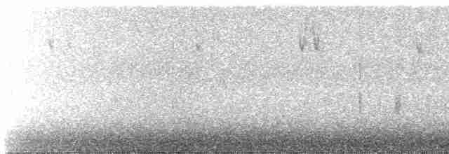 Сова плямиста - ML616471279