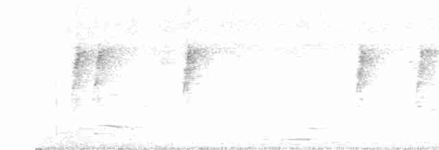 Cinereous Tit - ML616471564