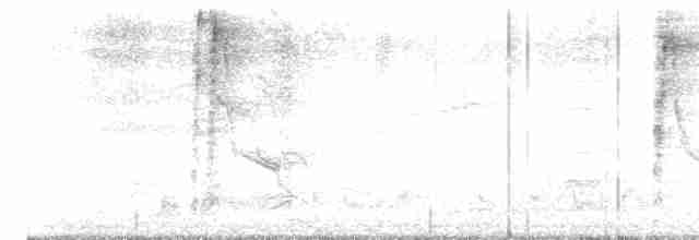 Морщинистоклювая ани - ML616471579