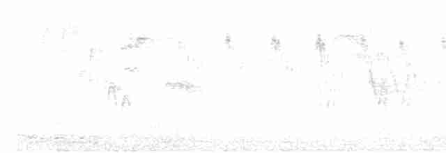 Пароарія жовтодзьоба - ML616471744