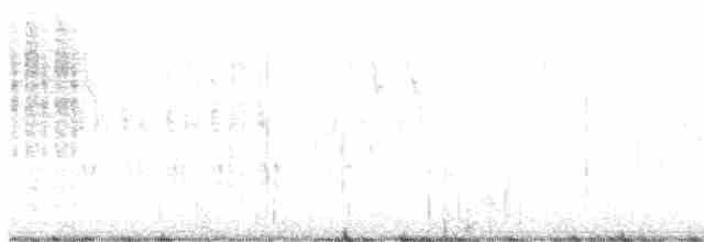 Troglodyte des marais - ML616471833