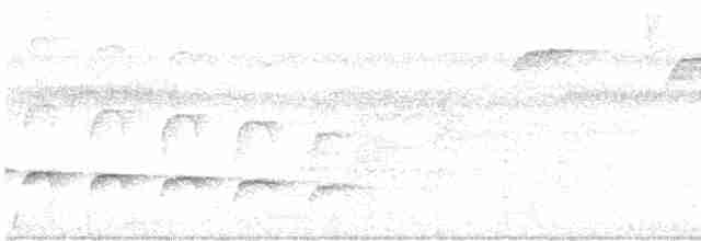Strichelschulter-Ameisenschnäpper - ML616472038