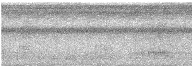 Манакін-стрибун карликовий - ML616472139