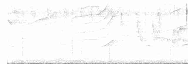 キバラシラギクタイランチョウ - ML616472508