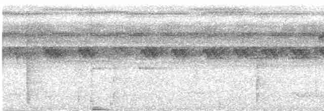 Мурав’янка-прудкокрил жовтоброва - ML616474483