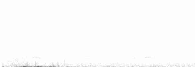 Çizgili Bıldırcın Kumrusu - ML616475798