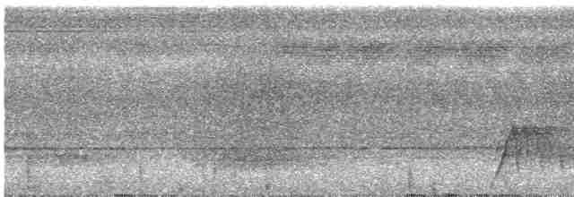 Серогрудый гусеницеед - ML616475898