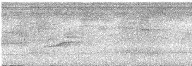 Kahverengi Tepeli Pufkuşu - ML616475986