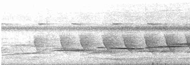 Tordina Coronioscura - ML616476308