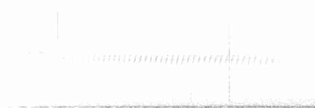 Pine Warbler - ML616477181