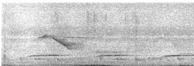 Малайская лесная куропатка - ML616477288