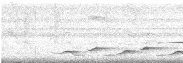 Горная долгоклювка - ML616477446