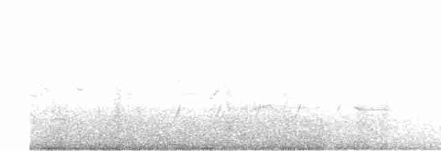Пісняр-лісовик жовтогузий (підвид auduboni) - ML616477668