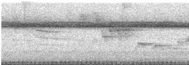 Ширококрылый канюк - ML616479522