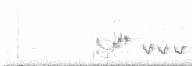 Rotsteiß-Spottdrossel - ML616479907
