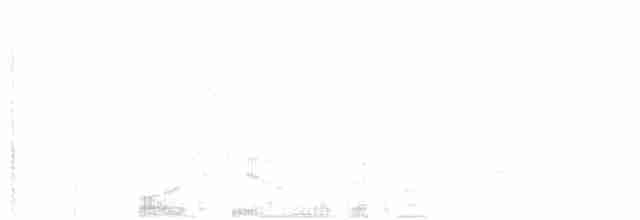 Сичик-горобець світлоголовий - ML616479964