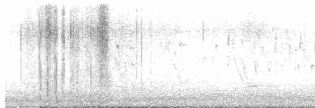 střízlík bažinný [skupina palustris] - ML616484028