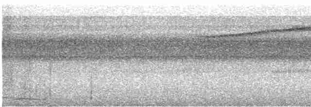 Black-streaked Puffbird - ML616484256