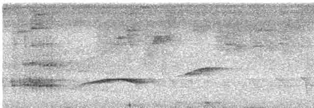Kahverengi Tepeli Pufkuşu - ML616486123