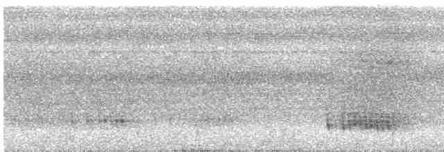 Серогрудый гусеницеед - ML616486924