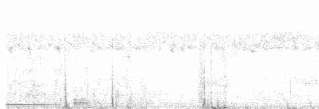 holub šedočelý - ML616489927